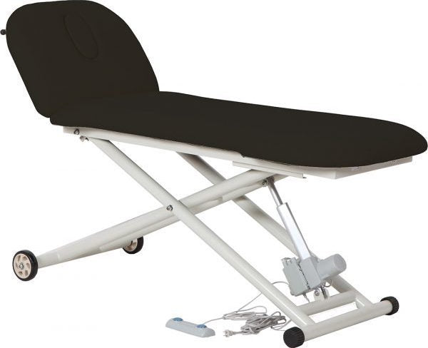 Portable Multi-Purpose Medical Bed CSC WAB-002